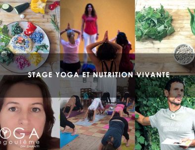 Stage Yoga et nutrition vivante du Samedi 9 au Dimanche 10 Avril 2022