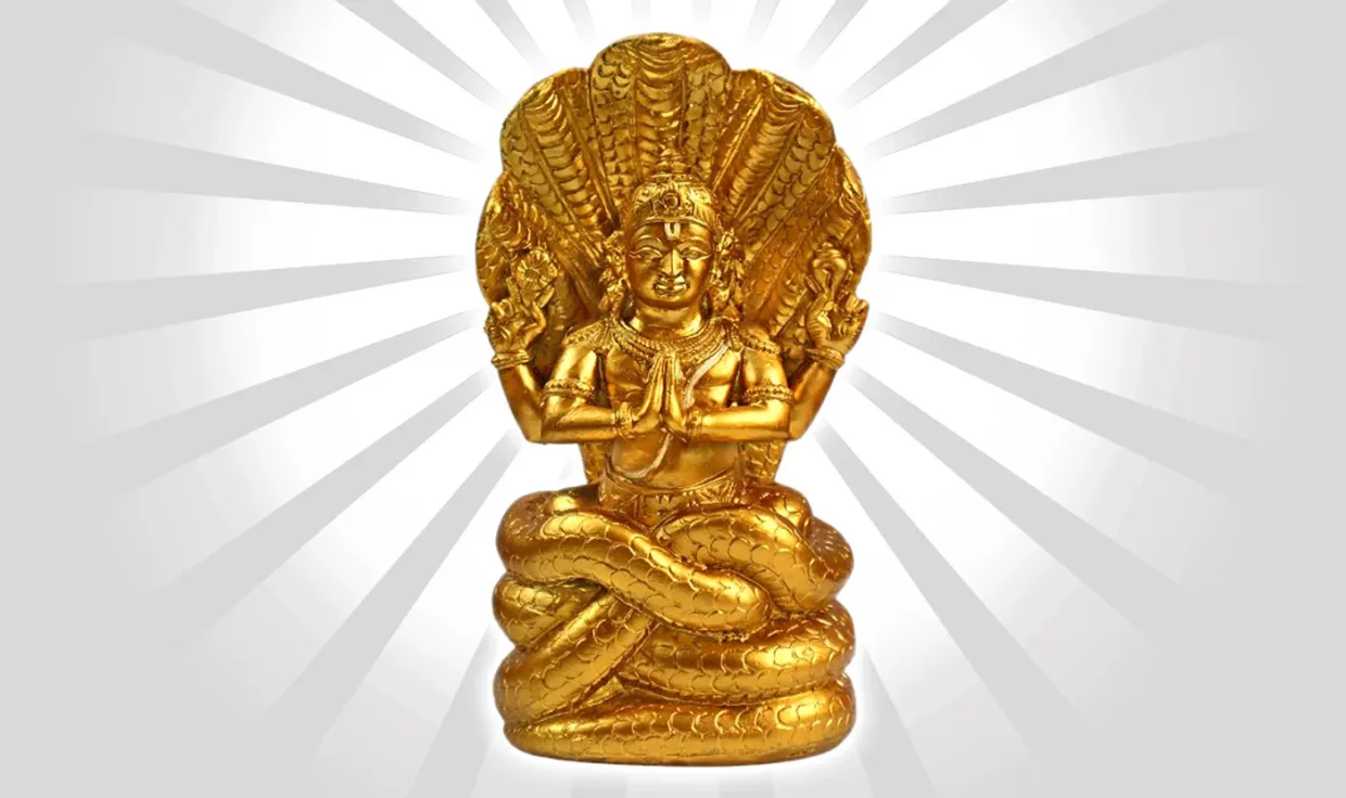 Cours Yoga Sutra en ligne animés par Jayaprakas Narayanan