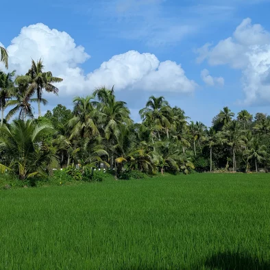 Retour sur une expérience en terre indienne : formation en Yoga