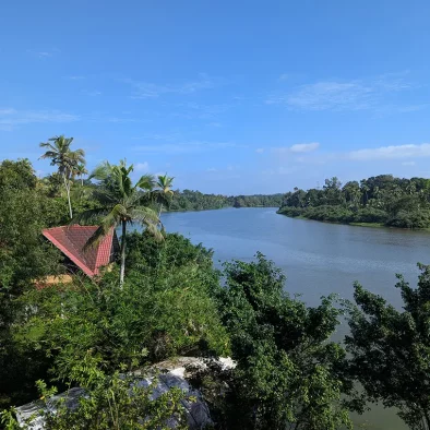 Retour sur une expérience en terre indienne : formation en Yoga